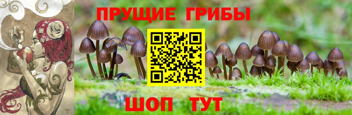 Галлюциногенные грибы MAGIC MUSHROOMS Волгодонск